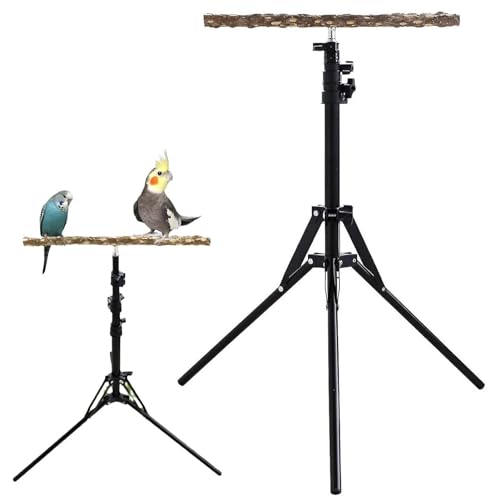 Ständer für Vögel - Sitzstange aus Holz für Sittiche, verstellbarer Ständer für Vogelerziehung | Trainingshilfe für Langpapageien