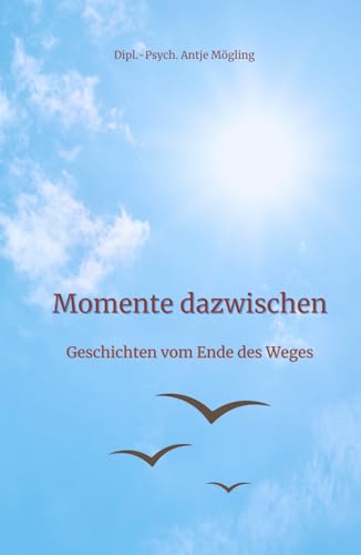 Momente dazwischen: Geschichten vom Ende des Weges