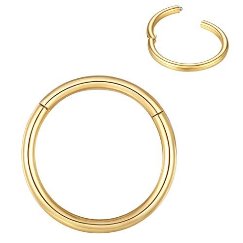 BLESSMYLOVE 0.8mm 6mm Gold Nasenring Hoop 316L Chirurgenstahl Knorpelohrring Septum Clicker Ring Edelstahl Klappbarer Segmentring Lippenring Conch Daith Helix Rook Tragus Snug Body Piercing Schmuck