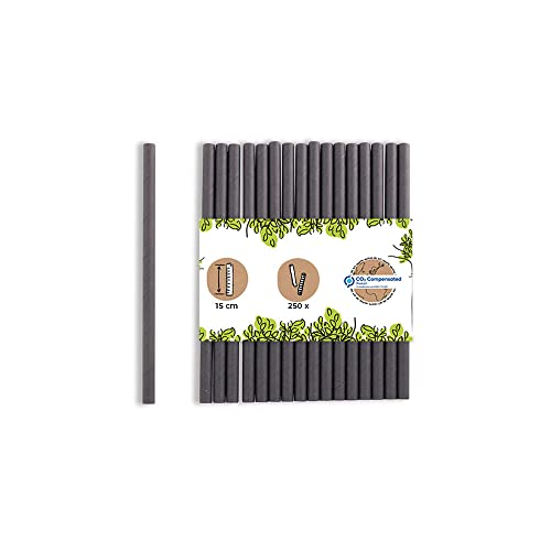 GREENBOX Papier Trinkhalme 15 cm Strohhalm 7 mm Ø I Trinkhalm biologisch abbaubar I schwarze Strohhalme I Party Trinkhalme für Cocktails I Papierstrohhalme 250 Stück, Schwarz