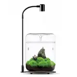 Glas Pflanzen Terrarium 12 x 17.5cm Zoll Sukkulenten Luftplanter Farn Moos Micro-Landschaft Vase für die Dekoration von Zuhause Büro Tischplatte Container mit Deckel Indoor (mit Licht)