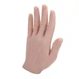 Silikon Männliches Handmodell für die Malerei Praxis Wiederverwendbares Silikonhand -Replik für Künstler und Anfänger (Linke Hand)