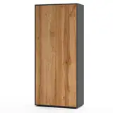 SIMPLYFURN Büroschrank Amira T00, geschlossener Schrank mit 2 großen Türen, Anthrazit & Eiche Wotan, Push-to-Open, 180x80x40 cm, Aktenregal für Büro und Homeoffice