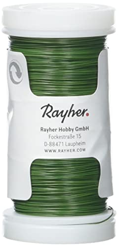 RAYHER HOBBY Rayher 2400113 Blumendraht, grün lackiert, 0,35 mm ø, Spule 100 m, Material Eisen, nickelfrei, Basteldraht, Wickeldraht