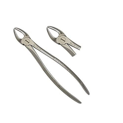 Dental Extraction Forceps No 89 | Tooth Extraction Forceps | Dental Plier For Extraction | Dental Extraction Tools (Forcep No-89)