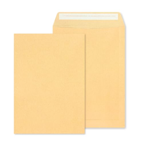 RAYLU PAPER - Packung mit großen Kraftpapier-Umschlägen mit Haftklebung zum Versenden von Dokumenten, schnell und einfach zu versiegeln, 90g/m² stark (4. verlängert, 10 Stück)