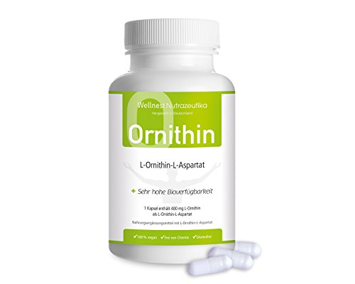 Wellnest L-Ornithin-L-Aspartat Kapseln (100% pflanzliche Qualität) 400 mg pro Kapsel ✓ 120 Kapseln ✓ bei Durchschlafproblemen ✓ Vegan Glutenfrei Laktosefrei