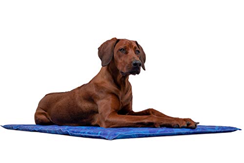 TrendPet Arctic Comfort - 20mm Premium Kühlmatte für Hunde 5 Größen, Extra Dick (110x70cm)