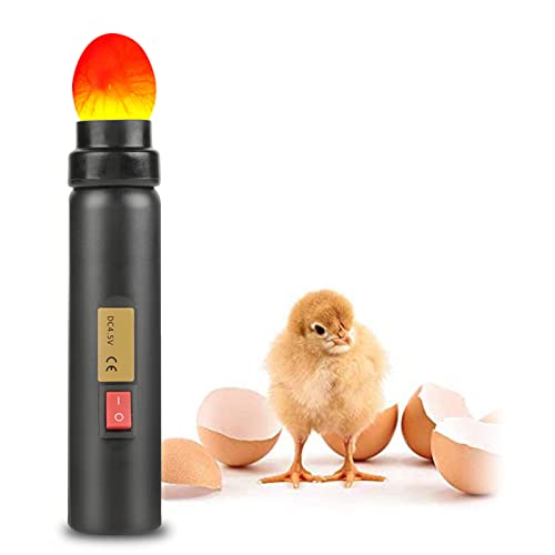 Egg Candler, Bruteier Hühnereier, LED-Licht Brutmaschine Vollautomatisch Tester, für alle Eiertypen, Hochintensives Eierkerzenlicht zur Überwachung der Entwicklung des Embryos
