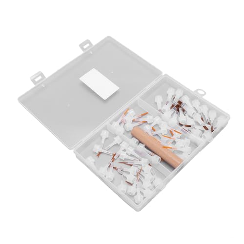 60-teiliges Nailart-Pinselset mit Doppelseitigem Holzgriff und Austauschbarem Kopfdesign, Ersatz-Nagelbürstenköpfe für Anfänger, Line-Art-Pinselkopf für Verschiedene Maltechniken