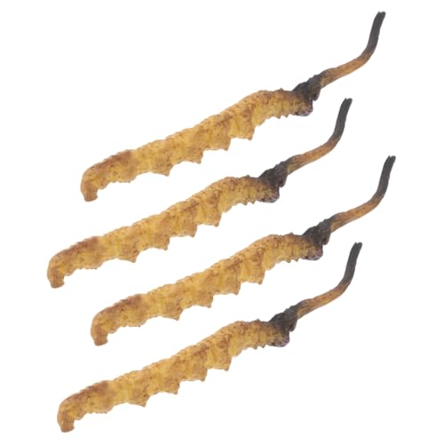 Garneck 4stücke Teiliges Modell Von Cordyceps Für Asiatische Apotheken-Dekoration Künstliche Heilpflanzen Für Rollenspiele Im Arzt Ausstattung Für Traditionelle Medizinläden