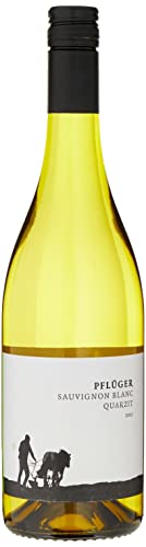 Weingut Pflüger Sauvignon Blanc vom Quarzit Öko Wein trocken (1 x 0.75 l)