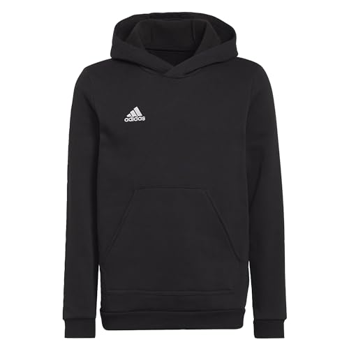 adidas Unisex Kinder Entrada 22 Sweat Hoodie, Black, 164