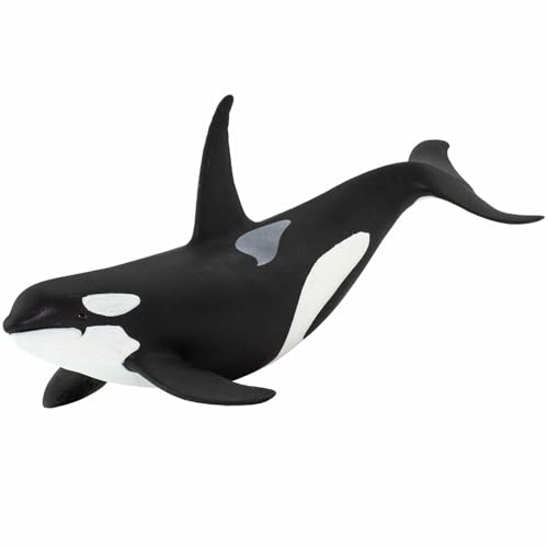 Safari Ltd. Orca 15.2cm | Figur eines Meerestiers | Ungiftig und BPA-frei | Geeignet für Kinder ab 3 Jahren