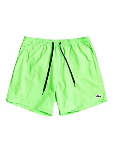 Quiksilver Everyday 13" - Schwimmshorts für Jungen 8-16 Grün