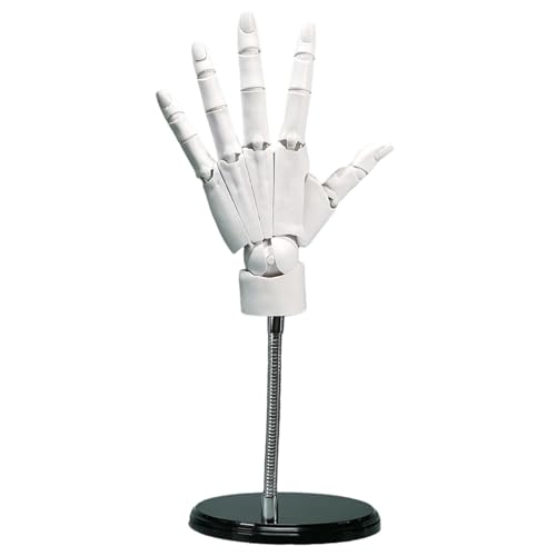 Flexible Handmodell, artikulierter Hand 1: 1, linke Modell mit beweglichen Gelenk- und Basis -DIY -freundlichen PVC zum Zeichnen, Malen, Skizzieren (weiß)