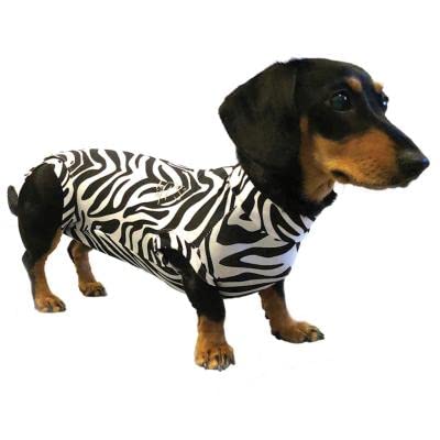 MPS Medical Pet Shirt Hund, Zebra Print, S