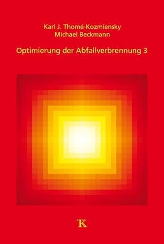 Optimierung der Abfallverbrennung 3