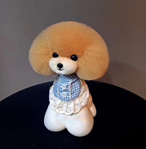 Mr. Jiang Teddybär-Kopfhaar für die Praxis des Groomers – Modell Hund künstliche Perücke für Schaufensterpuppe