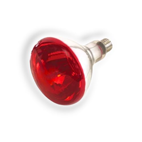 Kerbl Infrarotlampe rot (150 W, Wärmelampe für Schweine + Geflügel, Laufzeit max. 5000 Stunden, Lampensockel E27, Stalllampe) 22244