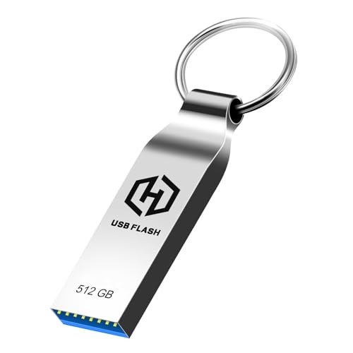 Ruoray USB Stick 512GB USB Speicherstick USB-Stick Metall Wasserdicht USB 512GB USB Sticks Flash Laufwerk mit Schlüsselanhänger Datenspeicher für PC/Laptop