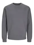 JACK & JONES JJEBRADLEY Sweat Crew NOOS