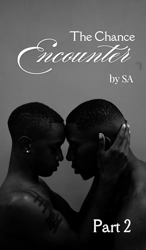 The Chance Encounter Part 2 (English Edition)