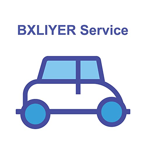 BXLIYER Technischer Support Service