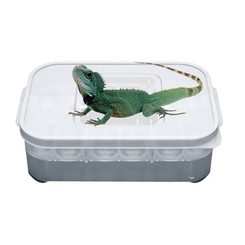 Reptilienzuchtbox - Brutkasten für Reptilien Brutkasten, kleine Reptilienzuchtbox | Brutkasten für Eier und Schlangen aus Obermaterial, Box für a