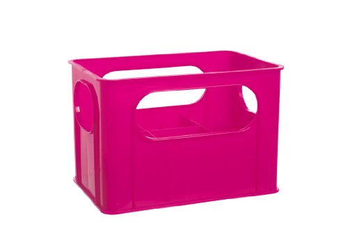 dBb Remond 177158 Fläschchenhalter für 6 Fläschchen, Rosa transparent