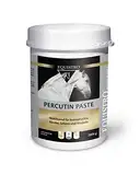 EQUISTRO® Percutin Paste | Pflegeprodukt für Pferde mit Tonerde, Arnika und Menthol | Normalisiert die Flüssigkeitsverteilung im Gewebe | Besonders wohltuend | 2.000g