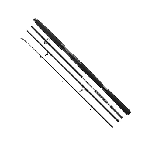 Daiwa BG Offshore Travel Pilk 2,40m 50-200g Reiserute