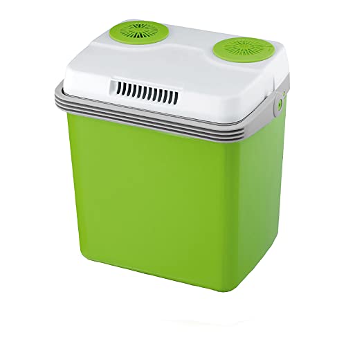 neoLab 1-7534 Polypropylen Elektro Kühlbox und Warmhaltefunktion, 20L Länge, 416mm Höhe x 398mm Länge x 297mm Breite, Grün/Grau