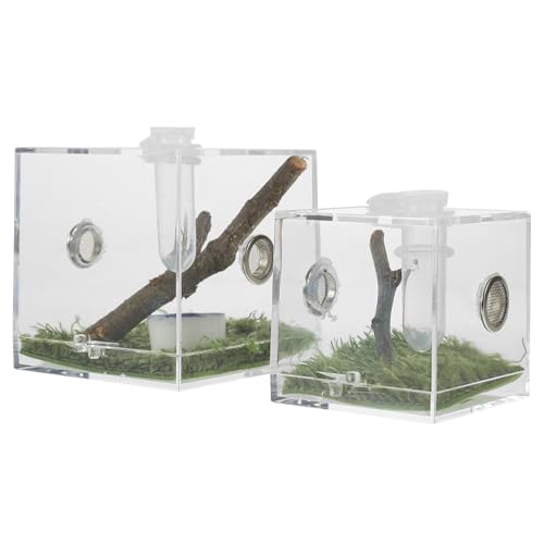 EXHUMKY 2Stücke Transparente Zuchtbox für Springende Spinnen Habitatbox für Insekten für Skorpione Grillen und Kleine Reptilien zu Reinigen und Sicher