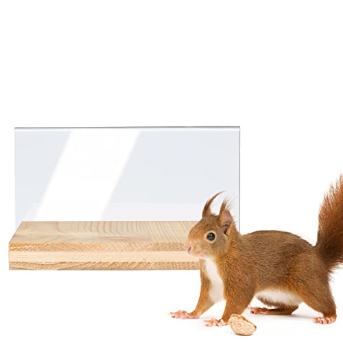 GARDIGO® Tier-Haus-System Wechselblende für Eichhörnchen Futterhaus I Made in Germany, aus Massivholz I In Sozialeinrichtung gefertigt