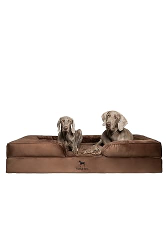 NOAH & PAW Riesiges Hundebett, XXL, 140 x 114 x 27 cm, orthopädisches Hundebett, Eierschalen-Memory-Schaum mit kühlendem Gel, Innenbezug, wasserdicht, maschinenwaschbar (Samt-Sofa-Kollektion)