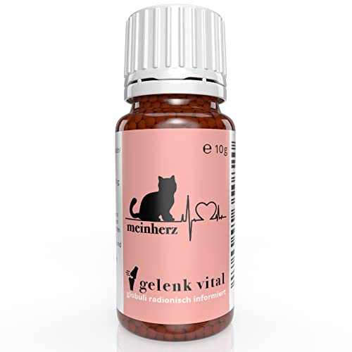 Mein HERZ Gelenk vital -aus Liebe zu ihrer Katze- zur Unterstützung der Gelenksfunktion und Regeneration der Muskulatur, bioenergetisch/radionisch mit MSM informiert.