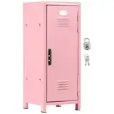 BAODBF Mini -Schließfach mit Schloss und Schlüssel rostbrichtem Metall kleiner Schließfach tragbares Mini -Schließschrank Praktische -Speicher Locker mit Fächern für Desktop -Mädchen Jungen(Rosa)
