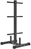 Bad Company Hantelscheiben-Ständer/Ablage mit 6 Scheibenaufnahmen und zwei Hantelstangen-Aufnahmen für 30/31 mm Gewichtsscheiben I BCA-98 (Schwarz mit Stangen-Ablage)