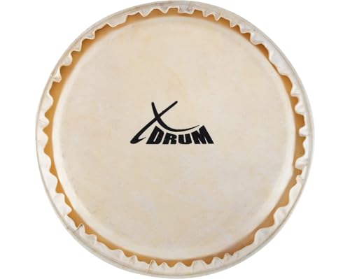 XDrum Bongo Fell 6" - Natur-Fell für Bongo-Trommel - Durchmesser: 6 Zoll (ca. 152 mm) - Natur