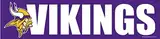 WinCraft NFL Minnesota Vikings Decal Bumper Sticker, Team Color, One Size