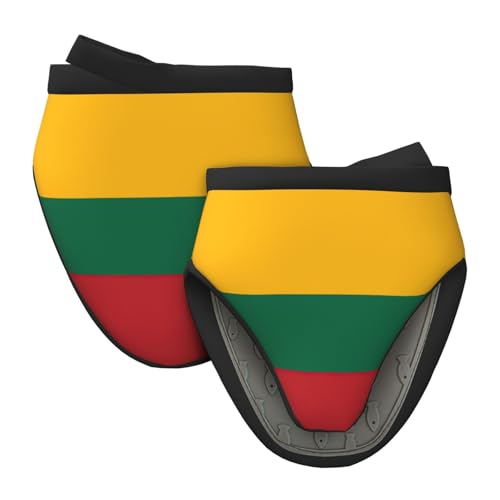 Ofenhandschuhe mit Flagge von Litauen, hitzebeständige Mini-Silikonhandschuhe, 1 Paar Kochgriffe für Küche und Backen