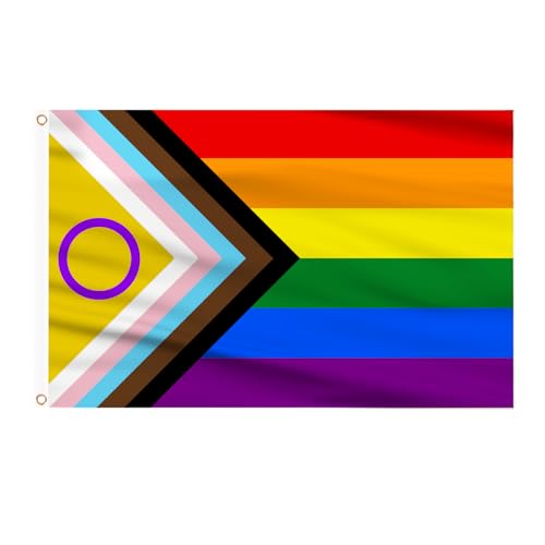 AhfuLife Progress Pride Flaggen 90 x 150 cm, 2 Stück Regenbogen Flagge LGBTQ+ Flagge, The Gay Flag Joint-Pride Flag Leuchtenden Farben mit Messing-Ösen für Pride Day Paraden LGBTQ Party Bar Dekoration