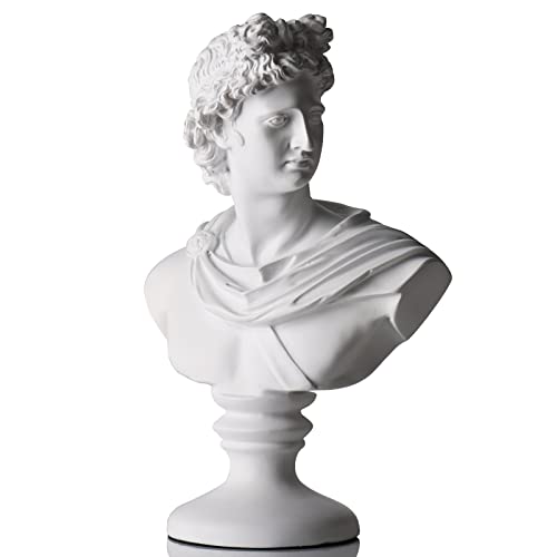 XMGZQ David Statue,Apollo Büsten Statue,Griechische Mythologie David Kopf,Büste Statue,Marmorharz,weiß,30 cm,Michelangelo Home Dekoration,Skizze Praxis Geschenk,Schmuck Schmuckhalter,David Büste