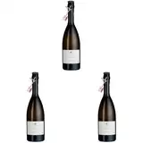 VILLA MARIA CARLA Prosecco Frizzante DOC BIO (1 x 0.75 l) (Packung mit 3)