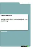 Soziale Arbeit in der Straffälligen-Hilfe. Eine Einführung