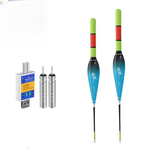 Hegawleo 2 Stück Led Posen Angeln mit CR425 Batterie Ladegerät, angelposen Mit Gravity Sensing Farbwechsel Und Kupferring, Angel Zubehör Zum Meeresfischerei Angeln Am See, Fluss Oder Teich. (11g+12g)