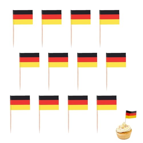Verschieden Länder Flagge Zahnstocher Flagge 30 Stück Cocktail Picks mit Doppelseitig Druck Verschieden Nationalflagge für Partydeko Food Cake Obst Sandwich Party Pub Deko