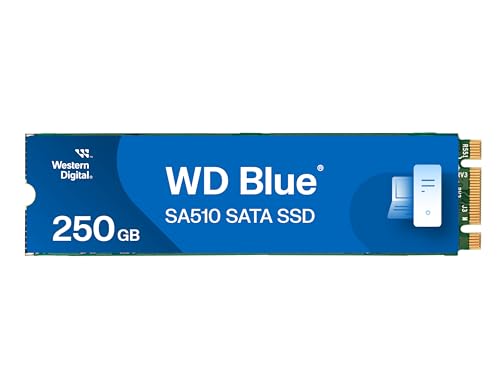 WD Blue SA510 SATA SSD 250 GB M.2 2280 (Lesen bis 560 MB/s, Schreiben bis 520 MB/s, Upgrade für PC/Laptop, Western Digital SSD Dashboard)