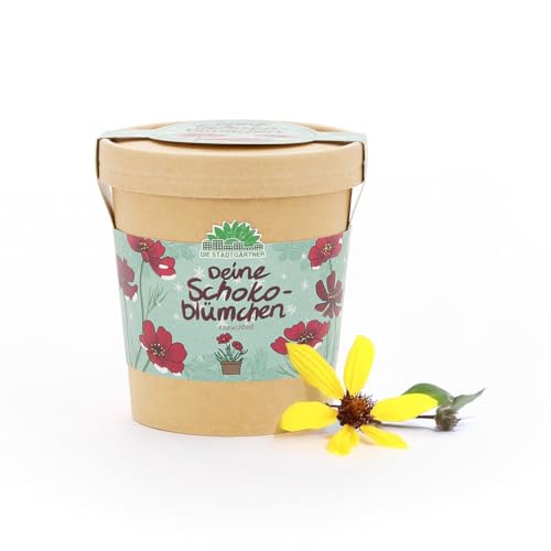 Anzuchtset für Schokoblumen von "Die Stadtgärtner" | Schokoladenblume Starter-Set inkl. Pflanzbecher, Saatgut und Kokoserde | Tolle Geschenk-idee für Schokoladenliebhaber, Garten-Freunde & Kinder